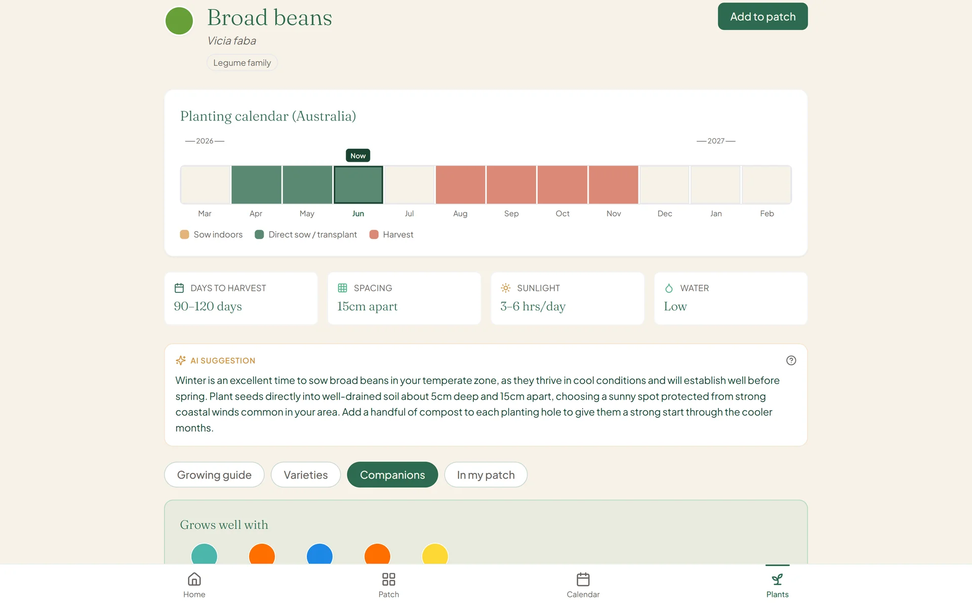 My Veggie Patch AI planting guidance shown on a broad beans plant detail page